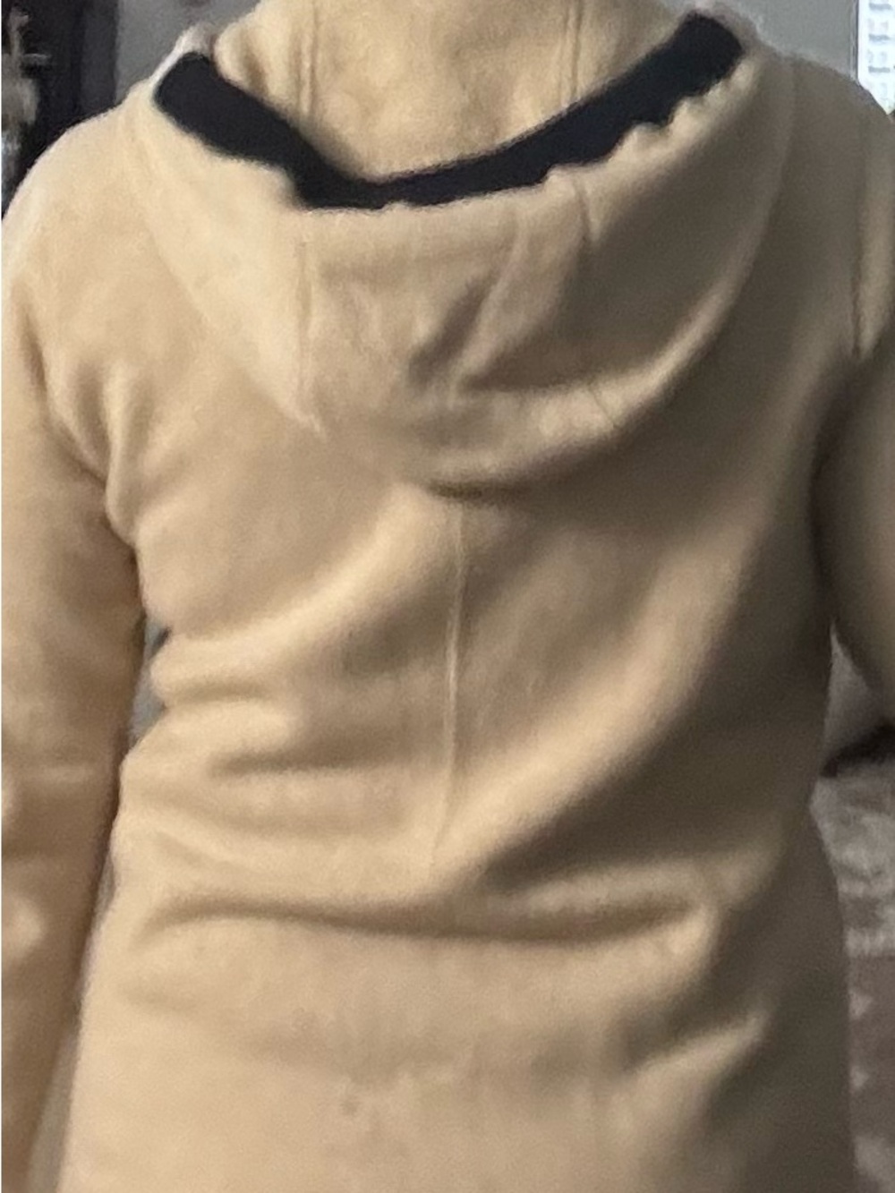 Patagonia Beige Hooded Zip Jacket with Blue Accents - Picture 5 of 11